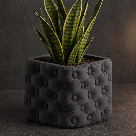 Cushioncrest modern tufted planter in Charcoal with a snake plant