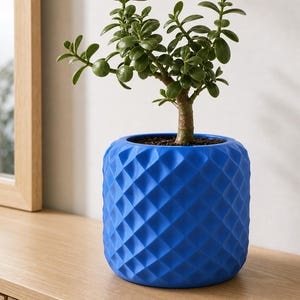 May include: A vibrant blue cylindrical planter featuring a geometric diamond-patterned texture on its exterior. The planter holds a small green jade plant with thick, rounded leaves and a woody stem, showing dark soil visible at the top surface.