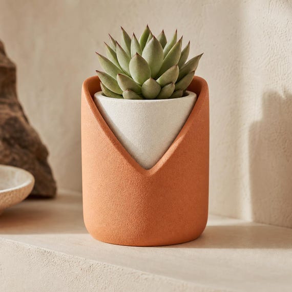 NestArc Veil Two-Tone Planter, V-Cut Nested Succulent Pot, Sculptural Indoor Plant Holder, 4 and 8 Inch, Named Colorways