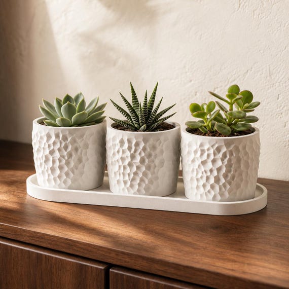 Tessellune Mini Planter Trio, Textured Succulent Pot Set with Shared Tray, 25 Matte Colors