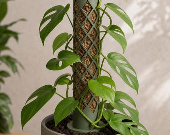 Rootspire Moss Pole Plant Support, Diamond Lattice Tower, 9 in Increments to 72 in, Flat Base or Ground Spike