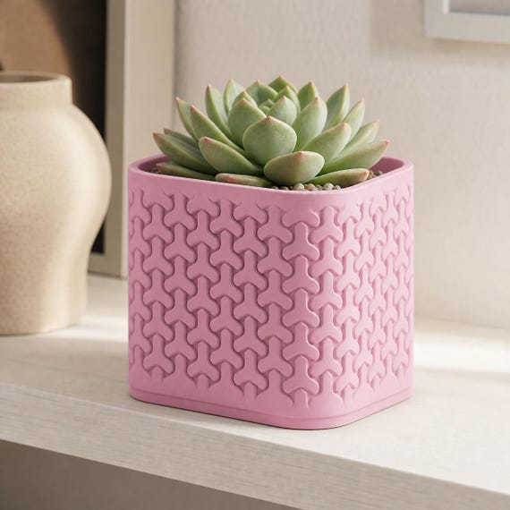Low close-up of a small TriLoom patterned planter in Sakura Pink with a succulent
