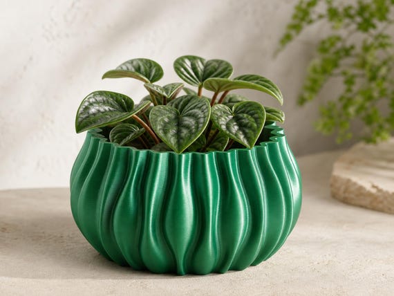 Close-up of the PulsePetal low planter in Silk Green with peperomia