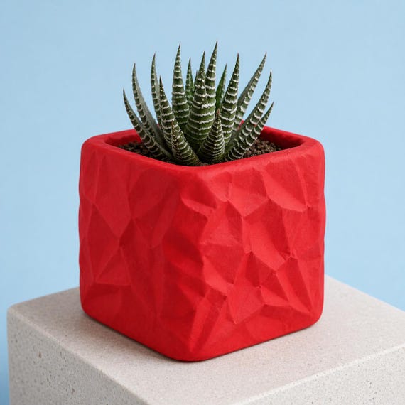 Square crumpled paper look planter in Scarlet Red with a zebra succulent