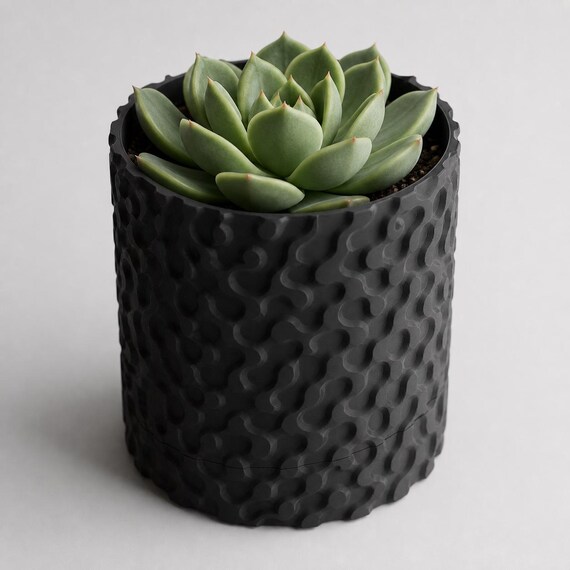 Three-quarter close-up of the Charcoal RippleGlyph planter with a succulent