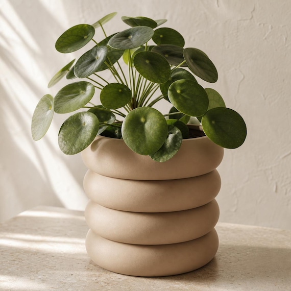 Cascadewell Ringed Planter with Twist-Lock Drainage, Smooth or Textured Indoor Plant Pot, 2 Sizes, 25 Matte Colors