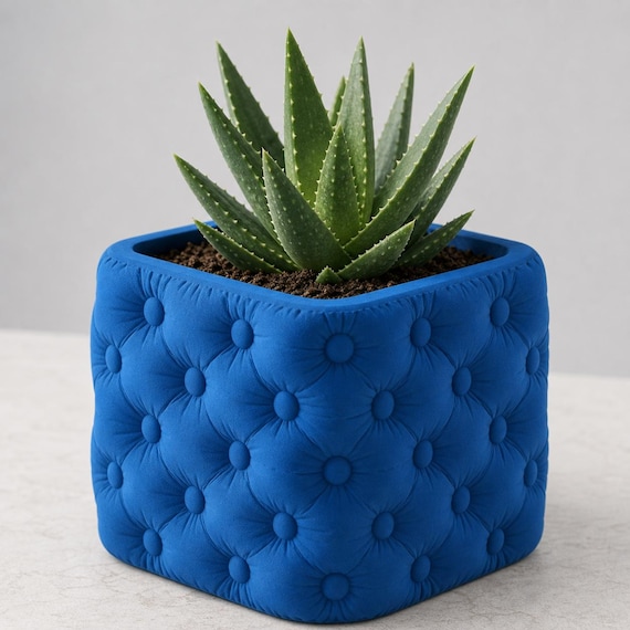 Cushioncrest square planter in Marine Blue with an aloe plant