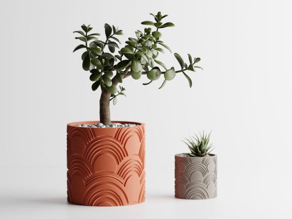 Close-up size comparison of two planted ArcEcho planters with raised arch patterns