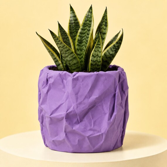 Round crumpled paper look planter in Lilac Purple with a snake plant