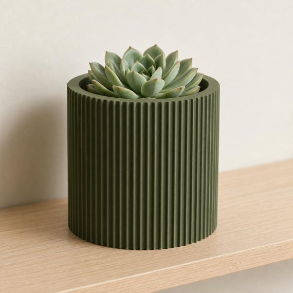 Dark Green StillRib cylindrical planter with a compact rosette succulent