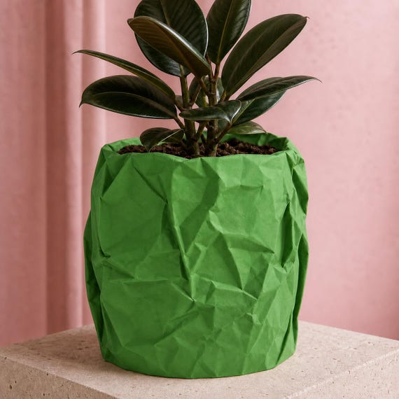 Round crumpled paper look planter in Grass Green with a rubber plant