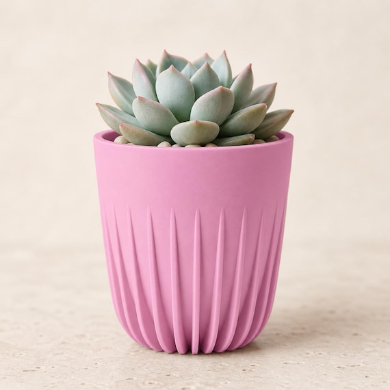 Close-up of a small CrownRill architectural rib planter in Sakura Pink with a succulent