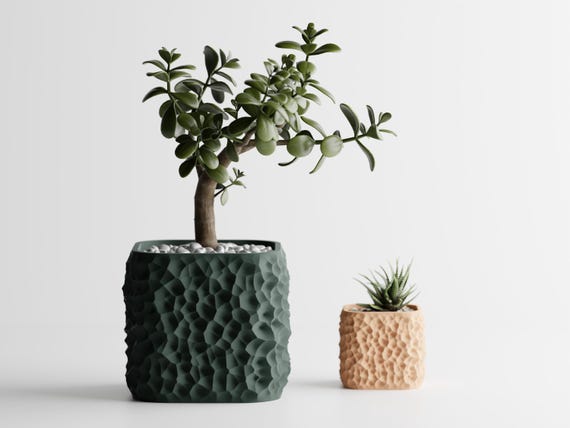 StoneCell Sculptural Planter, Organic Cellular Indoor Plant Pot, Rounded Square Succulent Holder, 5 Sizes, 25 Matte Colors