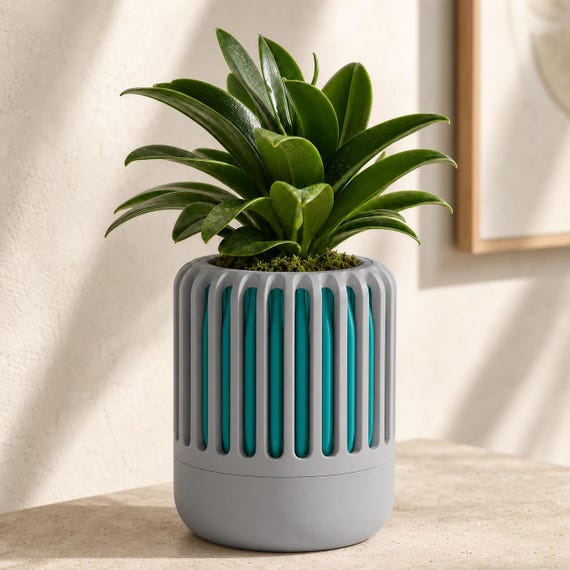 Airloom Ventilated Orchid Planter, Airflow Plant Pot with Drip Basin, Sculptural Indoor Planter, 6 Curated Colorways