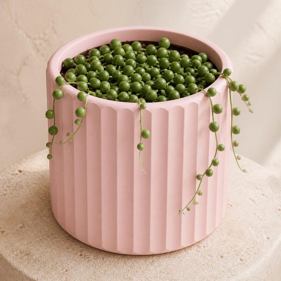 Close-up elevated view of a Sakura Pink Quietline fluted planter