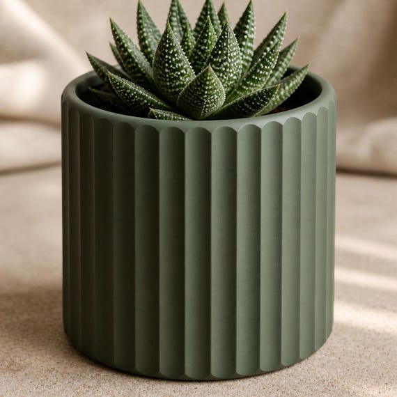 Close-up detail of a Dark Green Quietline fluted planter with a haworthia