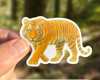 Tijger aquarel sticker, schattige tijger laptop sticker, sticker grote kat waterfles, composteerbare jungle dierenkunst, bedreigde tijger minnaar cadeau