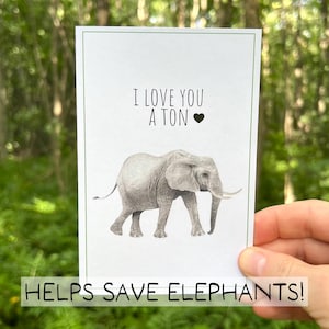 Funny Elephant Love Card, Eco Friendly Valentine’s Day Card, Cute Watercolor Elephant Pun Card for Him Her, Wildlife Anniversary Card