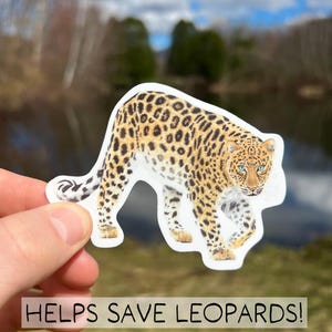 Watercolor Amur Leopard Sticker, Amur Leopard Lover Gift, Save the Amur Leopards, Amur Leopard Gift, Wildlife Conservation Sticker