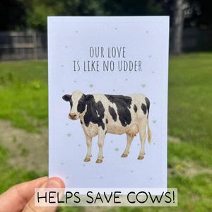 Funny Cow Love Card, Eco Friendly Greeting Card, Recycled Farm Animal Card for Him Her, Cute Pun Anniversary Card, Watercolor Valentine Card