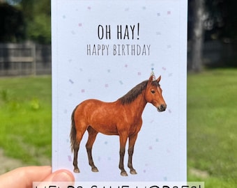 Funny Horse Birthday Card, Eco Friendly Greeting Card, Recycled Farm Animal Card for Him Her, Cute Pun Birthday Card, Watercolor Horse Card