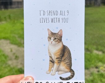 Funny Cat Love Card, Eco Friendly Greeting Card, Recycled Pet Card for Him Her, Cute Pun Anniversary Card, Watercolor Valentine Card