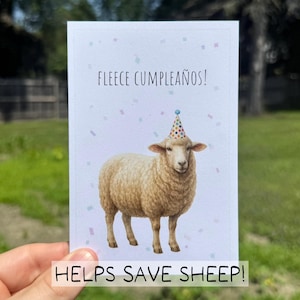 Funny Sheep Birthday Card, Eco Friendly Greeting Card, Recycled Farm Animal Card for Him Her, Cute Pun Birthday Card, Watercolor Sheep Card