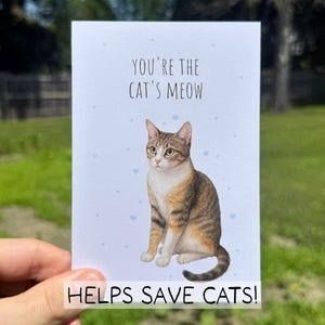 Funny Cat Love Card, Eco Friendly Greeting Card, Recycled Pet Card for Him Her, Cute Pun Anniversary Card, Watercolor Valentine Card