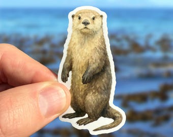 Sea Otter Sticker, Watercolor Sea Otter Decal, Cute Otter Sticker, Ocean Animal Sticker, Eco Friendly Compostable Sticker, Marine Life Gift