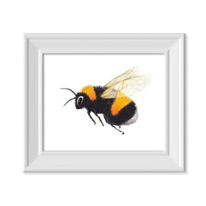 Bumblebee Digital Print, Watercolor Bumblebee Art, Bumblebee Wall Art, Save the Bumblebee, Wildlife Conservation Art, Bumblebee Gift