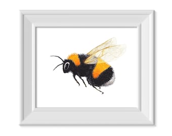 Bumblebee Digital Print, Watercolor Bumblebee Art, Bumblebee Wall Art, Save the Bumblebee, Wildlife Conservation Art, Bumblebee Gift