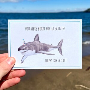 Carte d'anniversaire jeu de mots requin, carte d'anniversaire requin blanc, carte de voeux requin, requin blanc aquarelle, carte recyclée, conservation de la faune