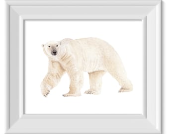 Polar Bear Art Print, Watercolor Polar Bear Wall Art, Wildlife Conservation Art Print, Polar Bear Lover Gift, Save the Polar Bears