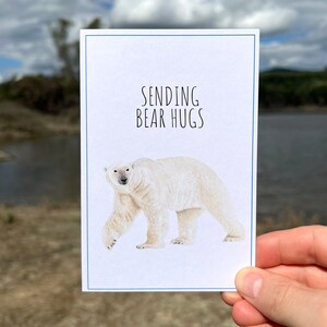 Carte de jeu de mots ours polaire, Carte de câlins d'ours polaire, Carte aquarelle ours polaire, Carte recyclée, Carte de conservation de la faune, Sauvons les ours polaires