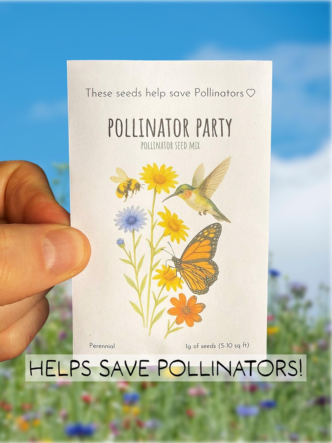 Pollinator Seed Mix, Native Wildflower Meadow Mix, Seed Packet ...