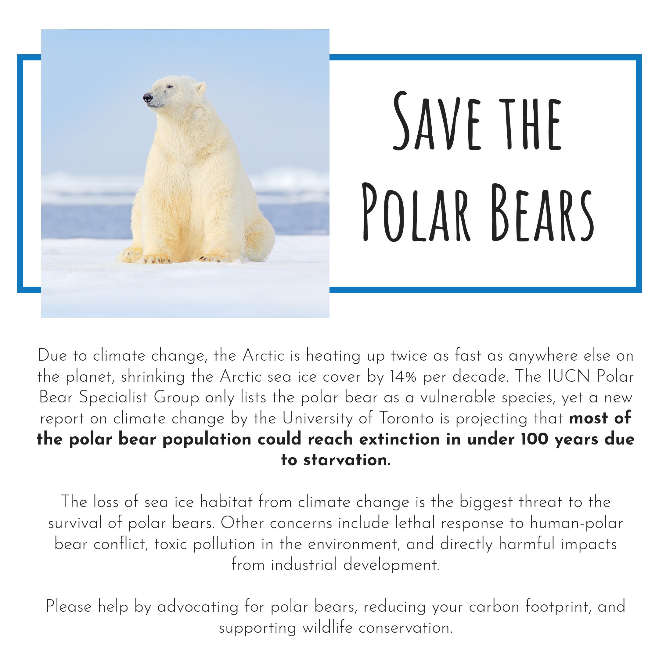 polar-bear-art-print-watercolor-polar-bear-wall-art-wildlife