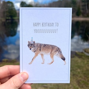 Carte d'anniversaire jeu de mots loup, carte d'anniversaire loup gris, carte de voeux loup, loup gris aquarelle, carte recyclée, conservation de la faune