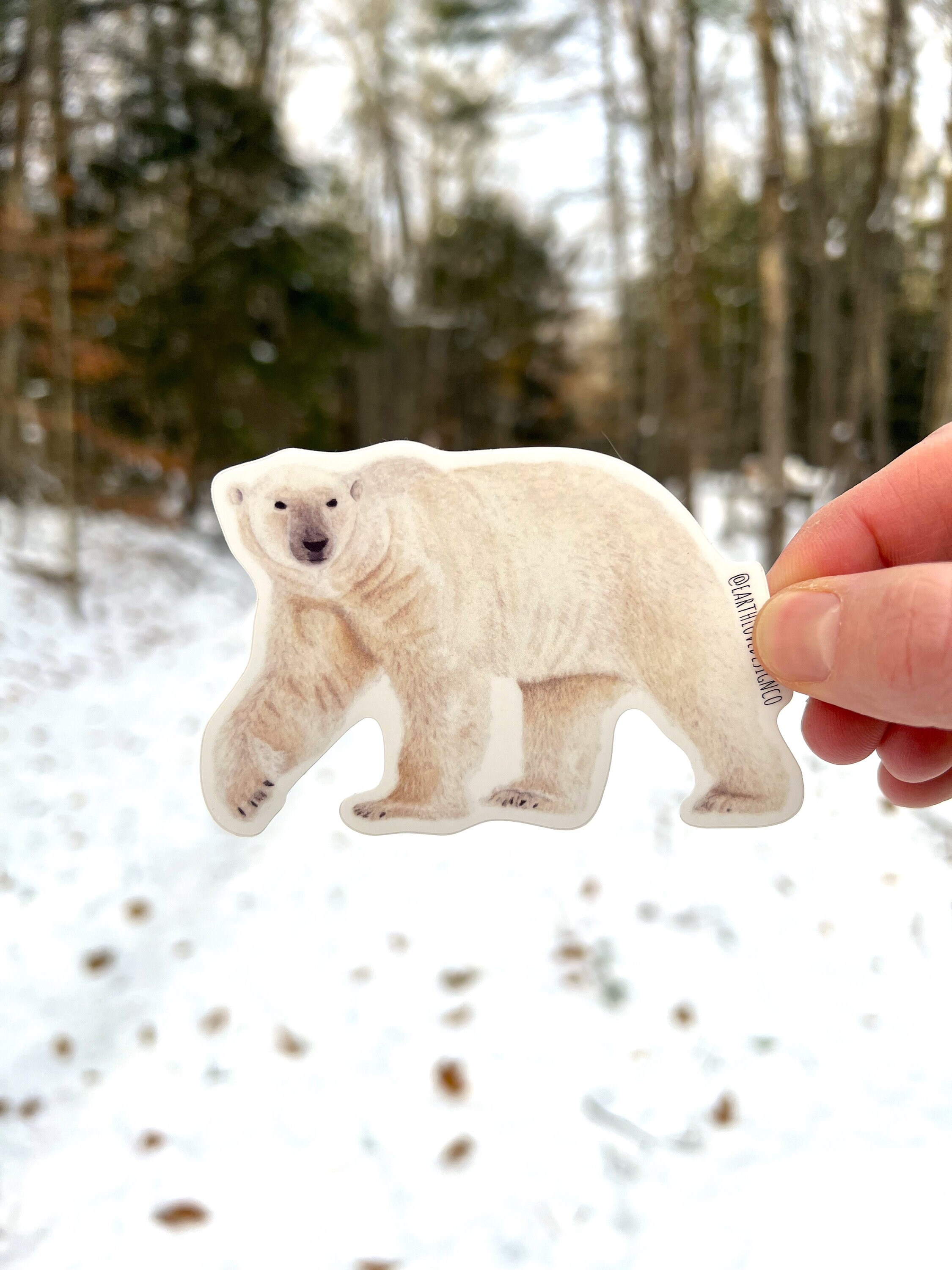 polar-bear-art-print-watercolor-polar-bear-wall-art-wildlife