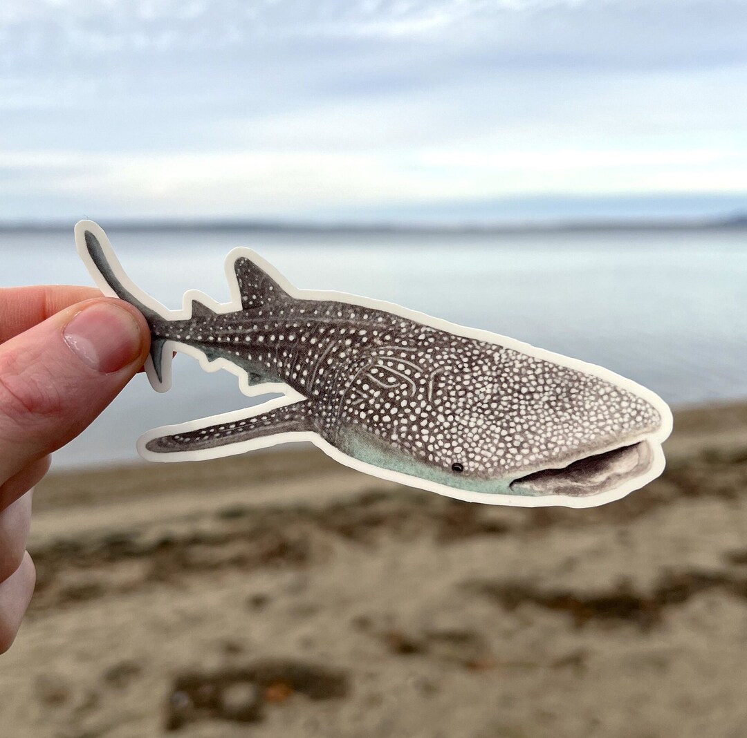 Watercolor Whale Shark Sticker Whale Shark Lover Gift Save Etsy
