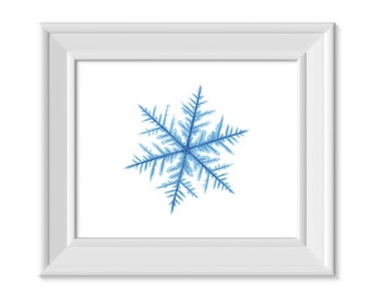 Snowflake Digital Download, Watercolor Snowflake Art, Earth Love, Wildlife Conservation Art Print, Snowflake Gift, Watercolor Fractal Art