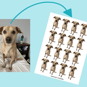 May include: A sheet of stickers featuring a tan dog with brown eyes. The dog is sitting with its front paws crossed. The stickers are arranged in a grid pattern. The text "SAM'S GOT STICKERS" is printed at the bottom of the sheet.