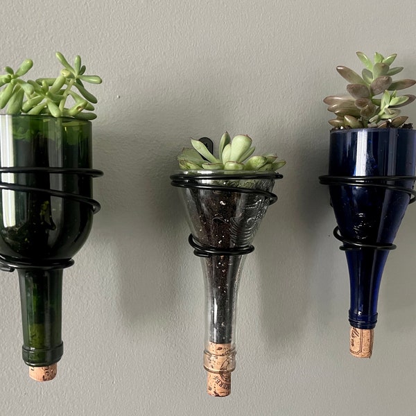 Wall Planter made from upcycled wine bottle - Upcycled Glass - Sustainable Indoor Plant Holder - Eco-Friendly Home Decor