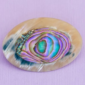 Vintage Abalone Abstract Eye Oval Brooch - AB10