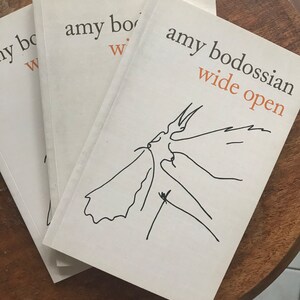 Wide Open Poetry Book Collection By Australian Poet And Performer Amy Bodossian