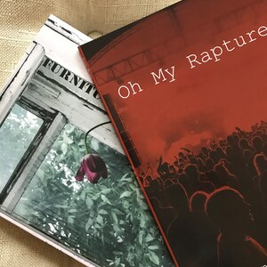 2 Poetry Book Collection Bundle - Furniture is Disappearing et Oh My Rapture - Cadeaux pour les créatifs