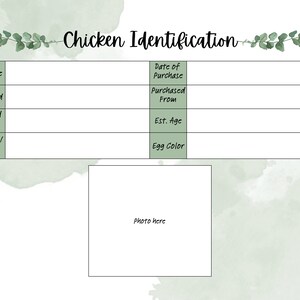 Chicken Livestock Record Keeping - PDF Printable 11 x 8.5