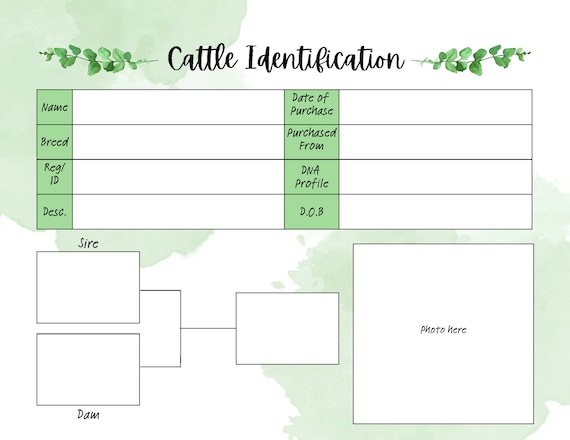 Cattle Livestock Record Keeping - PDF Printable 11 x 8.5