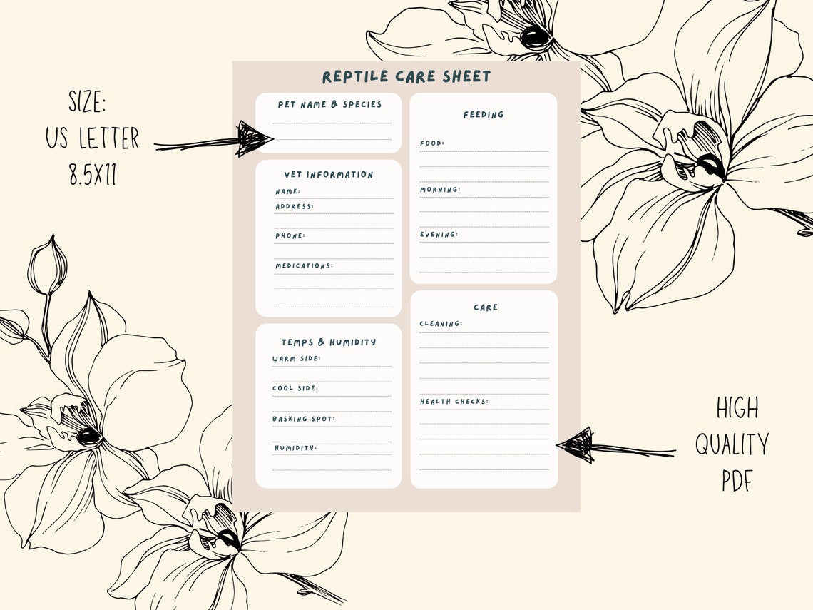 Curated visual reference: Picture Idea: Reptile Care Sheet Pet Sitter Instructions Snake Lizard Checklist