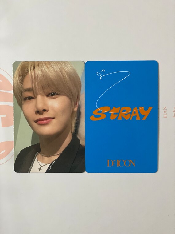 OFFICIAL Stray Kids 'dicon D'festa Mini' Photocards-i.n - Etsy