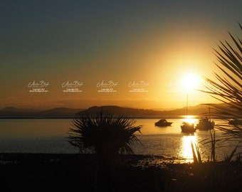 Sunset across harbour - New Zealand